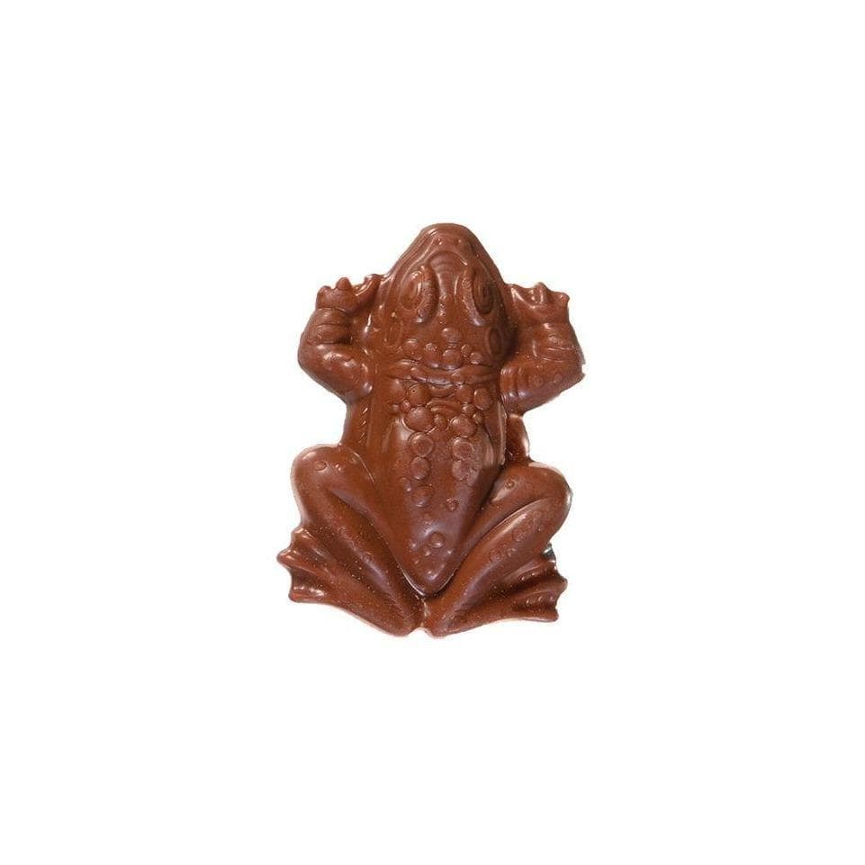 Acheter Baguette Magique En Chocolat Albus Dumbledore ( 42g / 1.5oz )